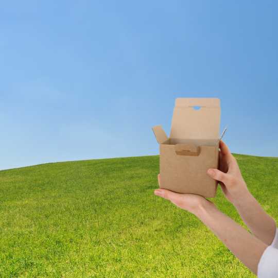 Kunstrasen Muster bestellen