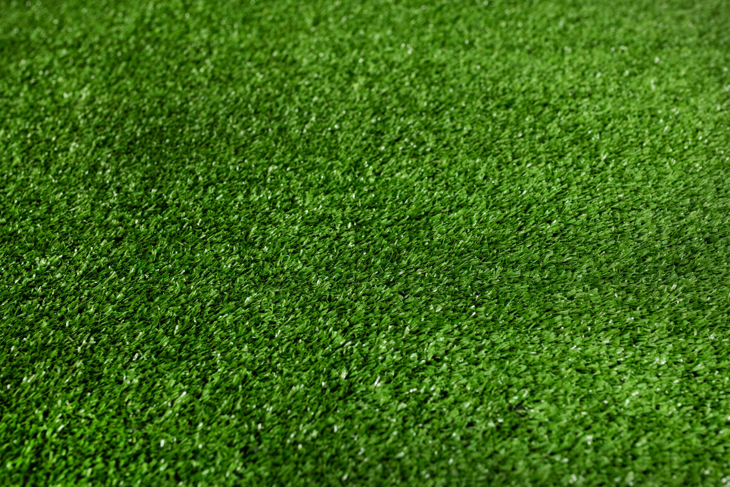 Event - Basic – Bild 5